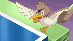 Farfetch'd, Pokémon Wiki