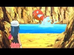 EP609 Magikarp