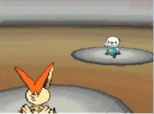 Oshawott usando foco energía en la quinta generación.