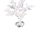 Cursola