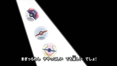 Sección de Docchi ~ Nyo? donde se ve puede ver una Honor Ball.