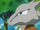 EP075 Marowak con lágrimas en los ojos.png