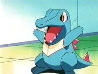 Totodile | Pokémon Wiki | Fandom