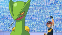 Sceptile junto a Ash.