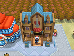 Gimnasio Pokémon de Ciudad Azulona, Pokémon Wiki