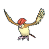 Pidgeotto SL