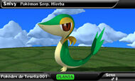 Snivy.