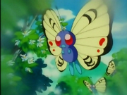 EP096 Butterfree polinizando las flores