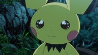 EP1090. Pichu emocionado.