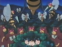 EP172 Team Rocket entre los Pokémon del bosque