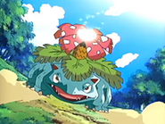 EP441 Venusaur cargando rayo solar