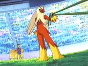 EP273 Blaziken junto a Harrison