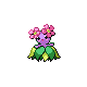 Imagen de Bellossom variocolor macho o hembra en Pokémon Diamante y Perla