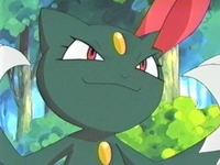 Sneasel en su primera aparicion.