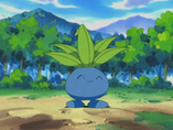 Imagen de Oddish