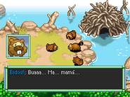 Bidoof con su familia justo antes de que empiece el capítulo.