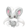 Cinccino