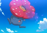 Vileplume usando somnífero.