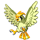 Imagen de Pidgeotto variocolor macho o hembra en Pokémon Platino