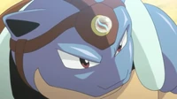Blastoise de Siebold/Narciso con una blastoisita.