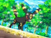 EP514 Umbreon de Gary