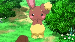 EP917 Buneary de Lillia