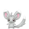 Minccino