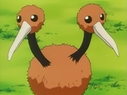 EP067 Doduo de Gary