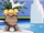 EP077 Exeggutor de Mandi.png