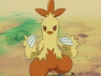 EP310 Combusken
