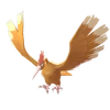 Fearow