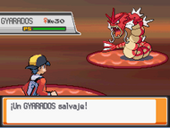 Combatiendo contra el Gyarados rojo en edición española.