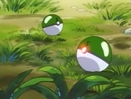 EP035 Safari Balls.png (53 kB) Safari Balls en el anime.