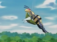 Un Beedrill salvaje secuestrando a Metapod.