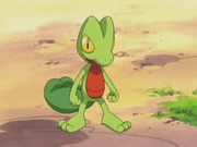 EP283 Treecko de Ash