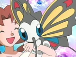 Imagen de Beautifly