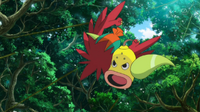 Weepinbell de Ramos/Amaro usando atizar contra el Hawlucha de Ash.