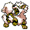 Imagen de Arcanine variocolor en Pokémon Plata