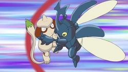 EP629 Smeargle vs Heracross