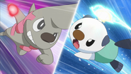 Timburr vs. Oshawott