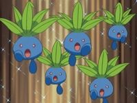 Entrenadores Pokemons - #43 Oddish Oddish es un Pokémon de tipo planta/ veneno introducido en la primera generación. Oddish es un pequeño y muy  común Pokémon que pasa el día bajo tierra dejando