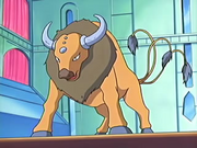 EP446 Tauros