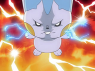 Pachirisu enfadado.