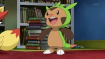 Imagen de Chespin de Clemont/Lem
