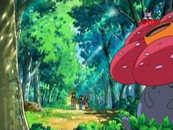 EP540 Vileplume durmiendo