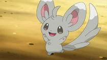 Imagen de Minccino