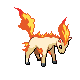 Ponyta DP 2