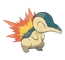 Cyndaquil