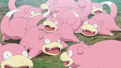 EP1115 Slowpoke en la Isla Slowpoke
