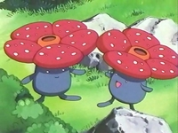 Entrenadores Pokemons - #45 Vileplume es un Pokémon de tipo planta/veneno  introducido en la primera generación. Es una de las dos evoluciones  posibles de Gloom. Vileplume posee los pétalos de flor más